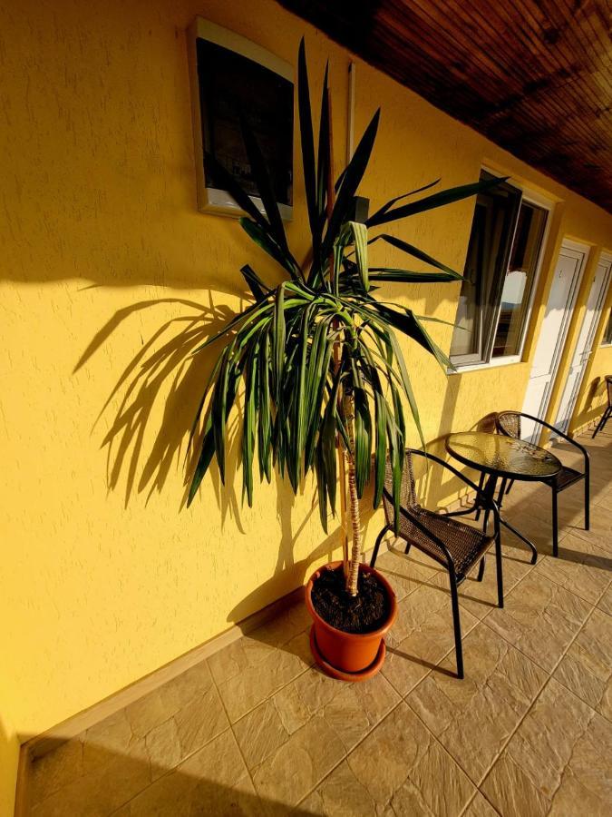 Cabana Varad Coronini Moldova Veche Dış mekan fotoğraf